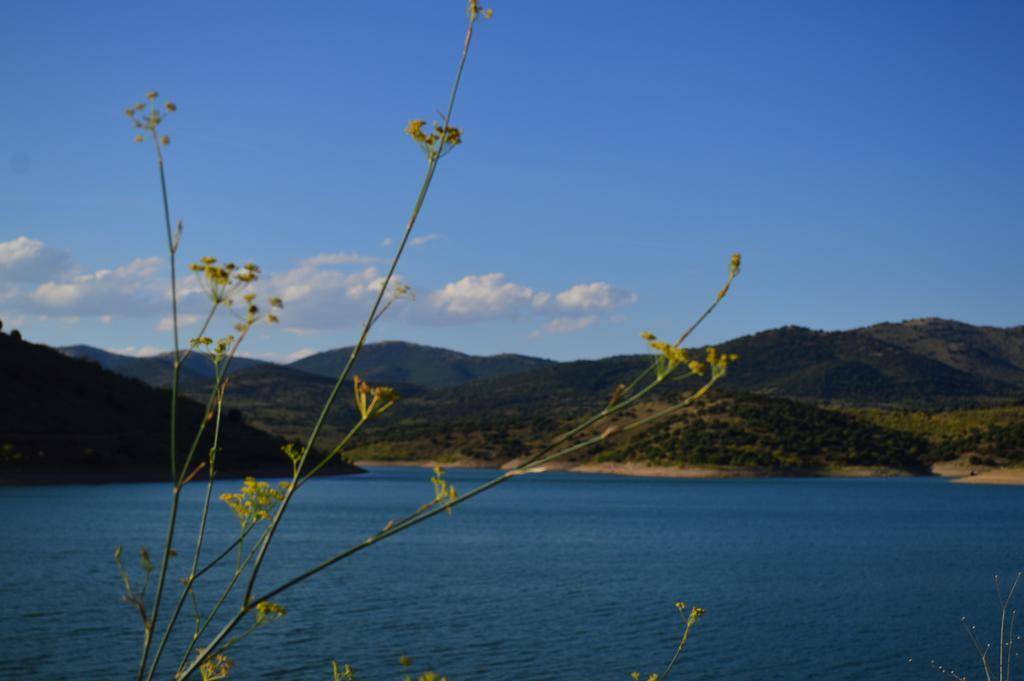 Casa Rural Los Lilos Gotor Rom bilde