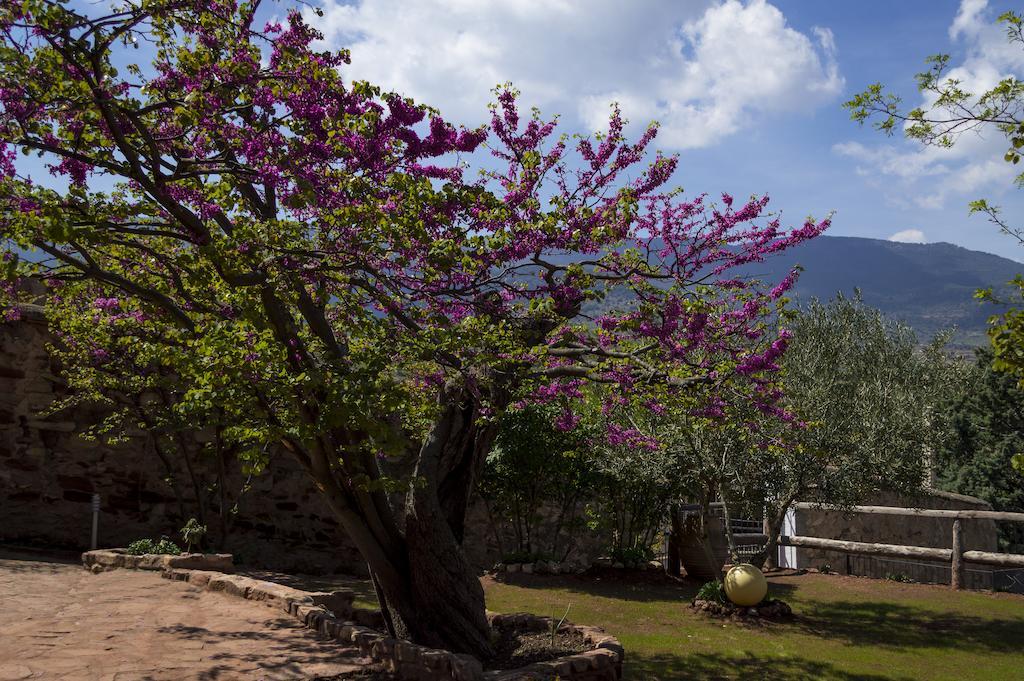 Casa Rural Los Lilos Gotor Rom bilde