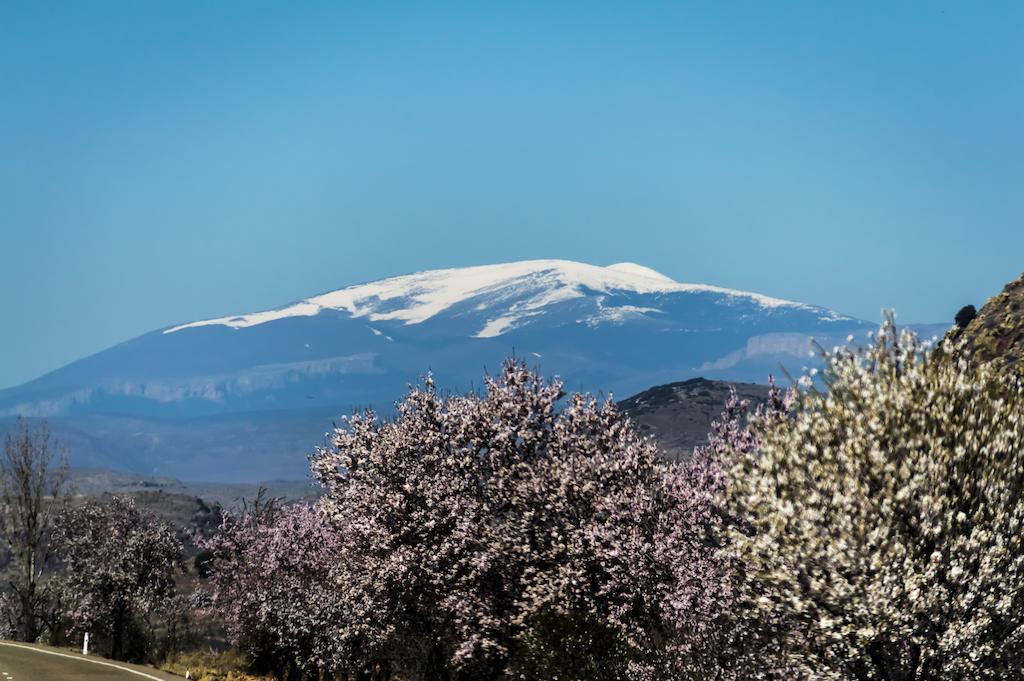 Casa Rural Los Lilos Gotor Rom bilde